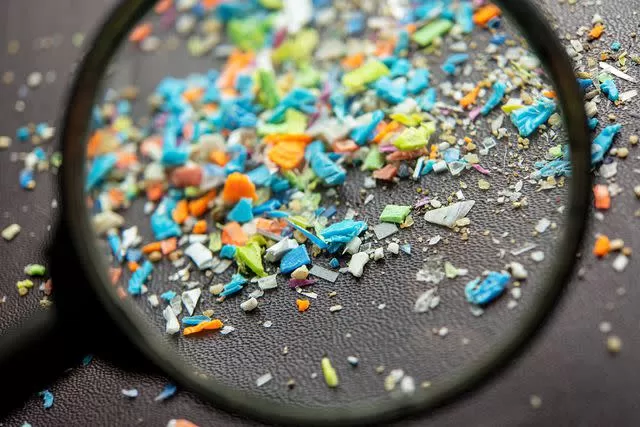 Microplastics Found in Human Testicles: A Growing Concern for Health and Fertility